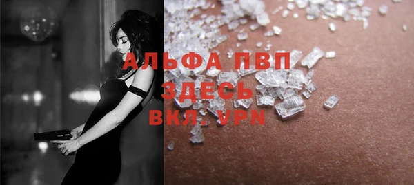 прущие грибы Сосновоборск