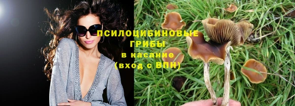 синтетический гашиш Сосновка