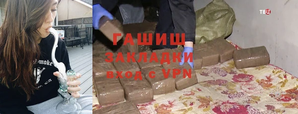 прущие грибы Сосновоборск