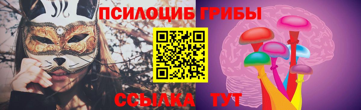 Ялуторовск  Галлюциногенные грибы Magic Shrooms  Псилоцибиновые грибы мицелий  Вход с VPN 